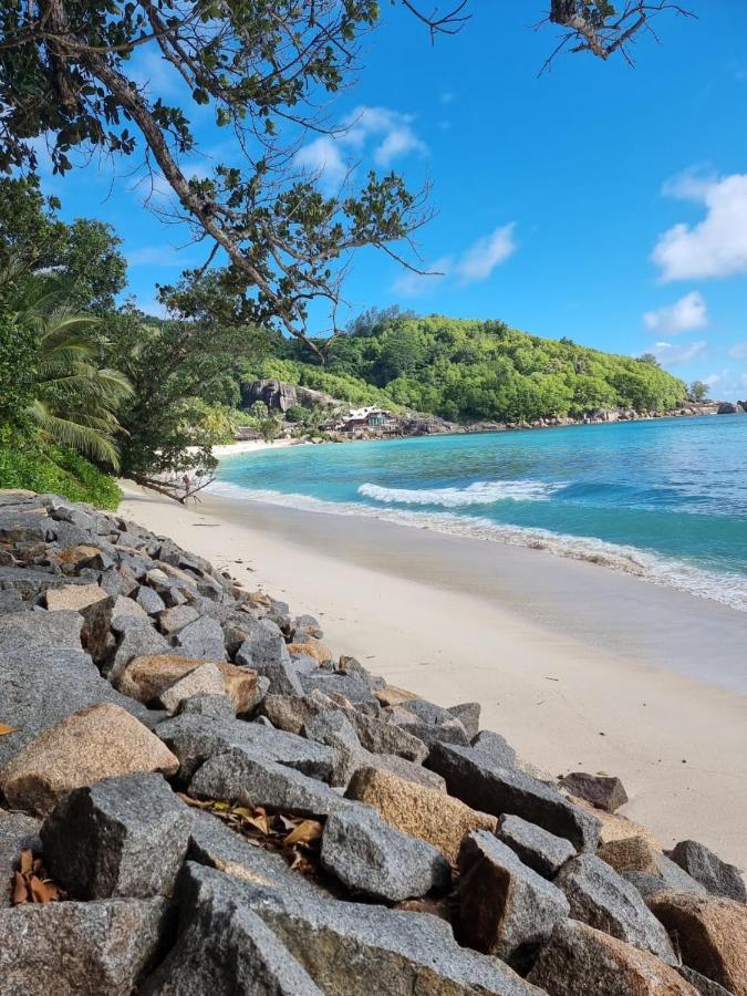 Chalets Des Vacances Takamaka Eksteriør bilde